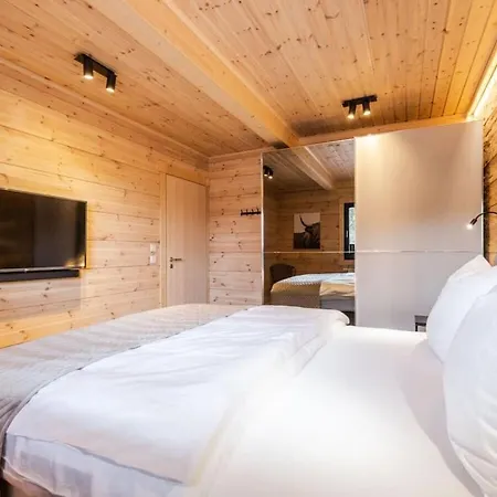 Bergwaldchalet Wellness 6 Holiday home Schierke