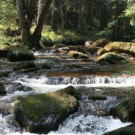 Bergwaldchalet Wellness 6 Holiday home Schierke