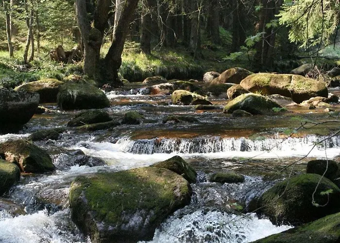 Bergwaldchalet Wellness 6 Semesterbostad Schierke