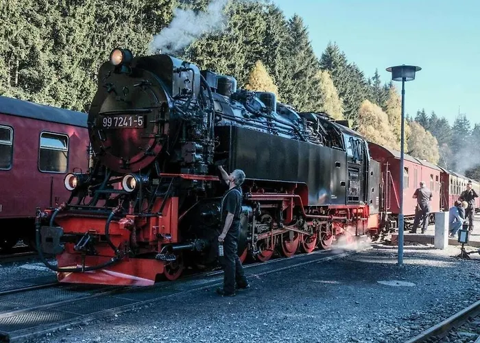 Bergwaldchalet Wellness 6 * Schierke