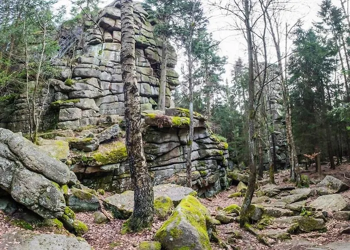 Bergwaldchalet Wellness 6 Semesterbostad *